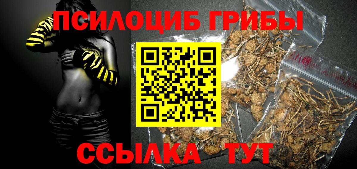 Псилоцибиновые грибы Magic Shrooms Выкса