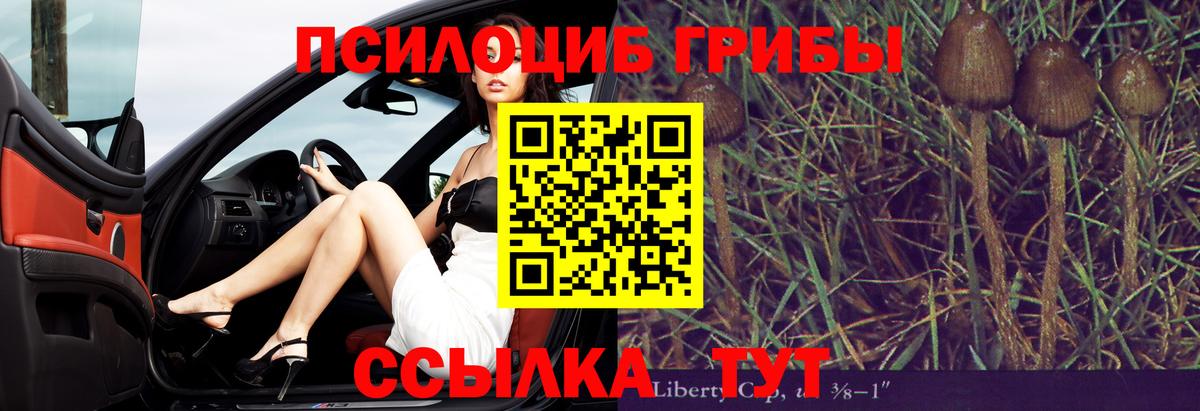 Псилоцибиновые грибы Psilocybe  Вход с VPN  Выкса 